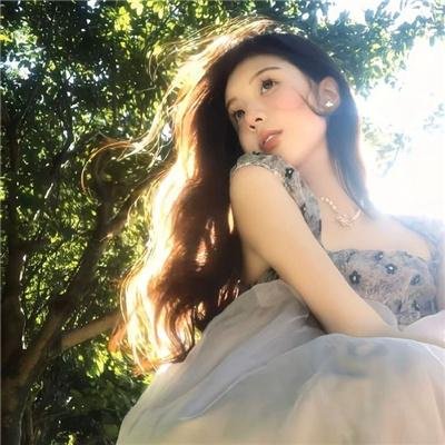 舰队收藏